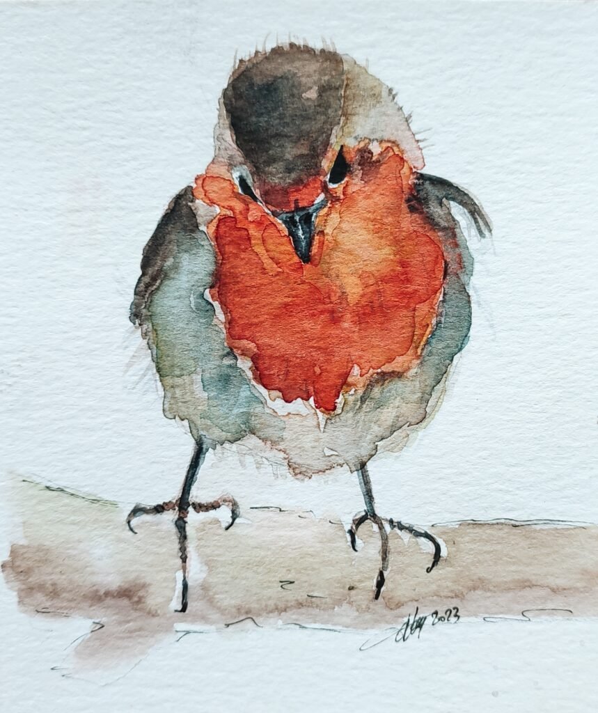 AQUARELLE "ROUGE GORGE" 9x9 cm ( vendue)