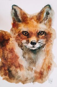 Le Renard 