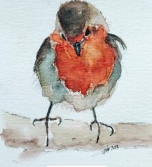 Petit rouge gorge à l'aquarelle 12 x 12 cm