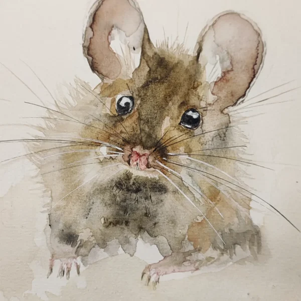 La p'tite souris – Image 2