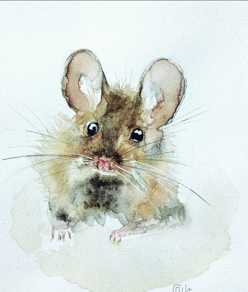 La p'tite souris ( vendue)