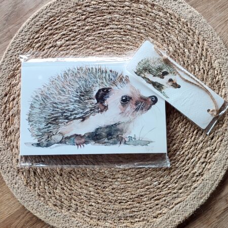 OFFRE CARNET + marque- page hérisson 🎁