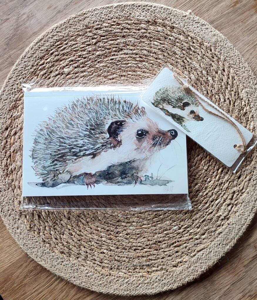 OFFRE CARNET + marque- page hérisson 🎁