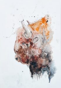 Bison 21x29.7 cm
Aquarelle originale 