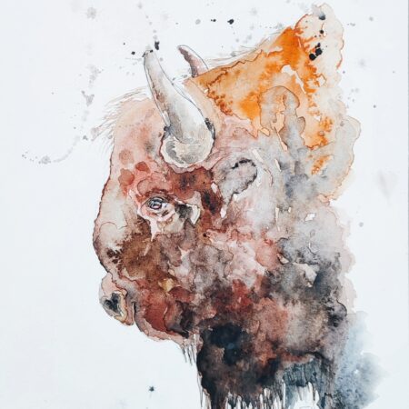 Bison 21x29.7 cm Aquarelle originale