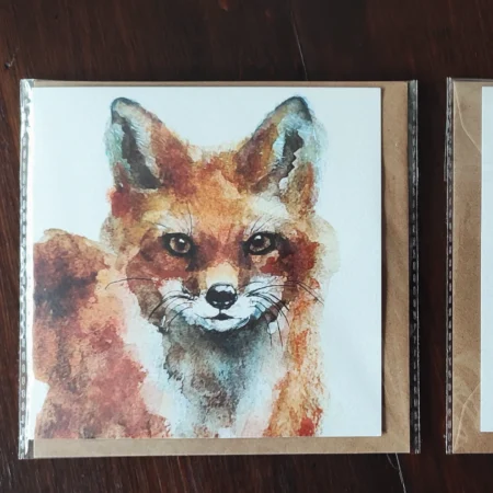 Cartes de vœux 2025- 2026 🦨🦡