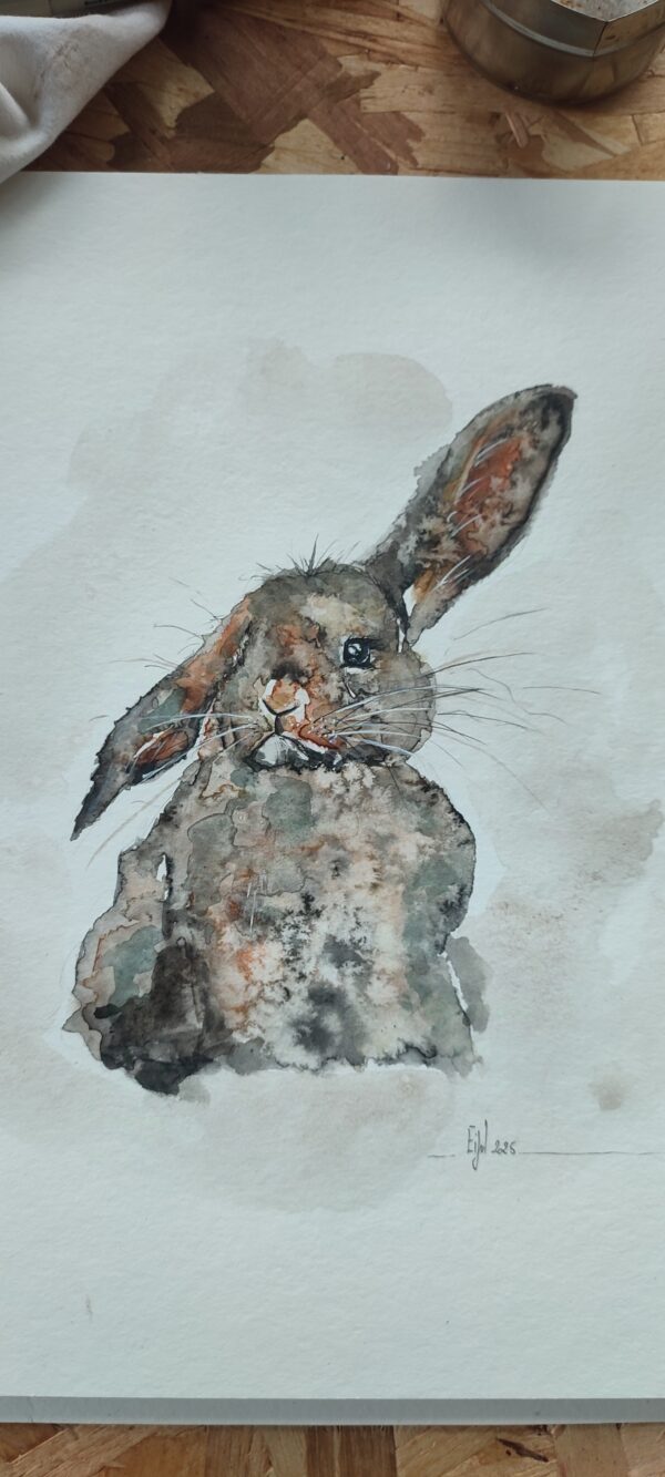 Lapin Périgourdin – Image 4