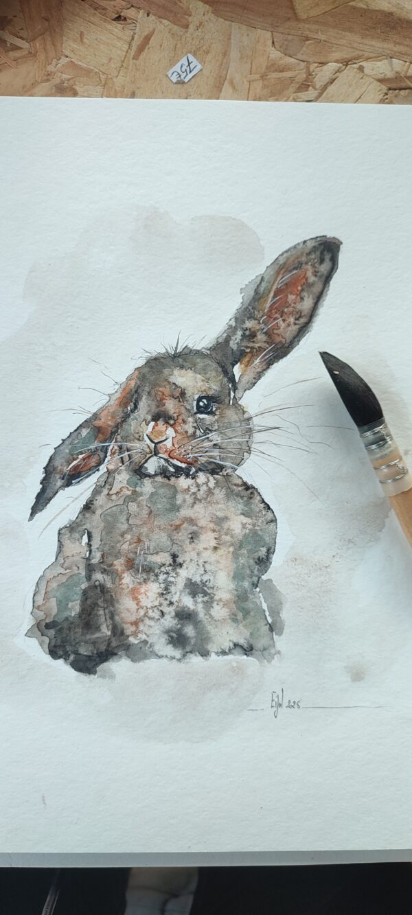 Lapin Périgourdin – Image 3