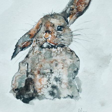 Lapin Périgourdin