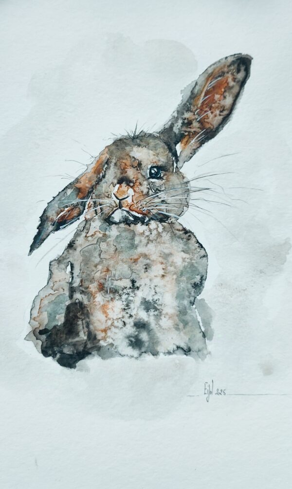 Lapin Périgourdin