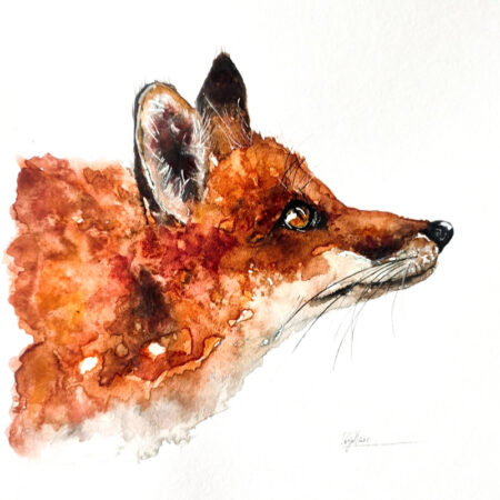 Gros méchant renard