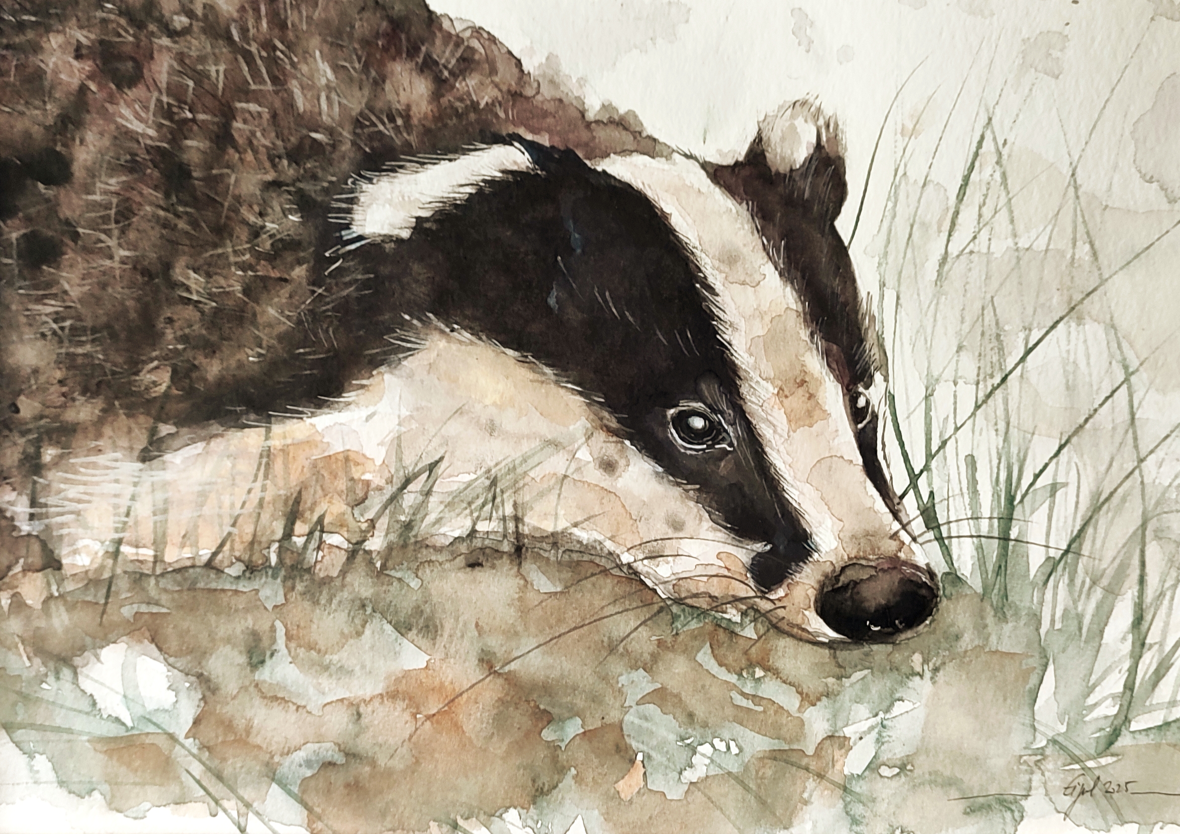 NOUVELLE COLLECTION CARTES POSTALES SUR PAPIER AQUARELLE – Image 15