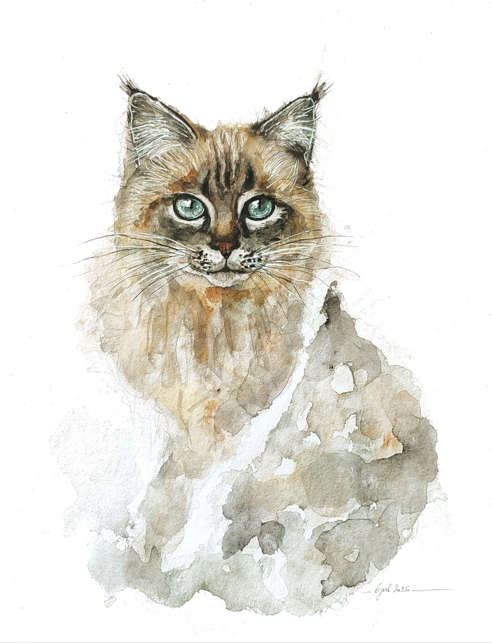 NOUVELLE COLLECTION CARTES POSTALES SUR PAPIER AQUARELLE – Image 13