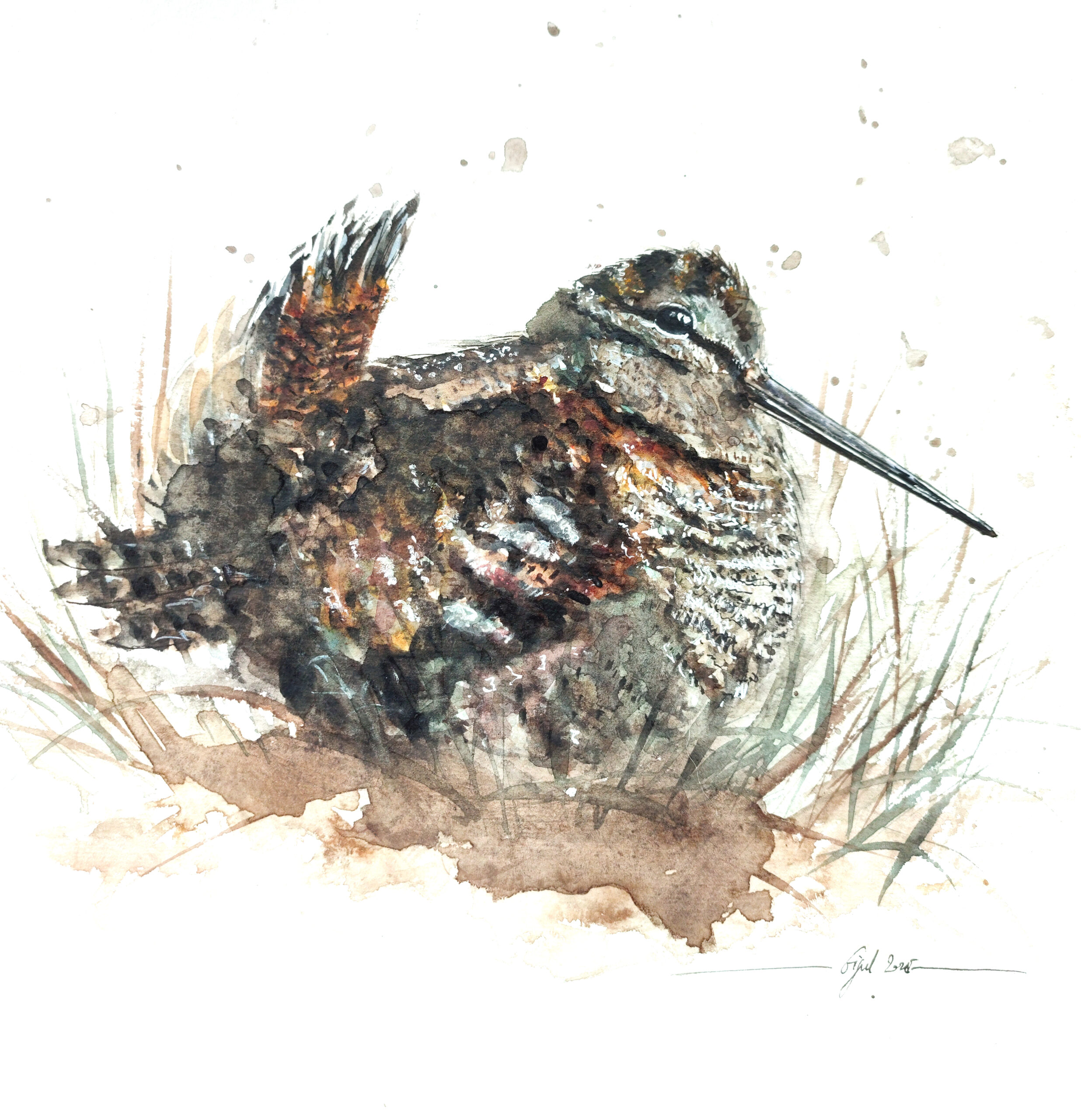 NOUVELLE COLLECTION CARTES POSTALES SUR PAPIER AQUARELLE – Image 11