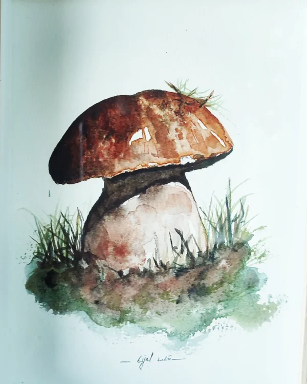  – Image 2
