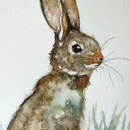 Lapinou 2 -Juin 2025