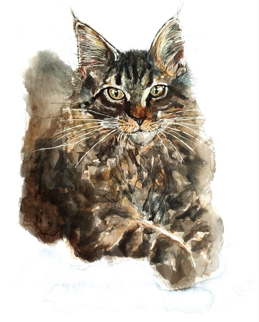 Le gros chat- Juillet 2025