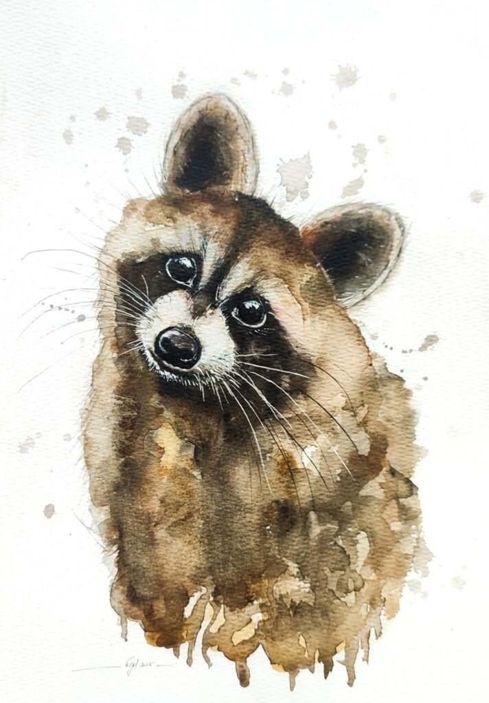 AQUARELLE ORIGINALE DU RATON LAVEUR