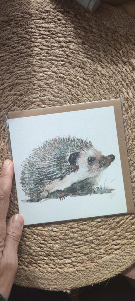 CARTES DE VOEUX 🦨🦡