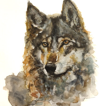 "Le méchant loup" Aquarelle sur papier Hanemhule en 30 x 40 cm