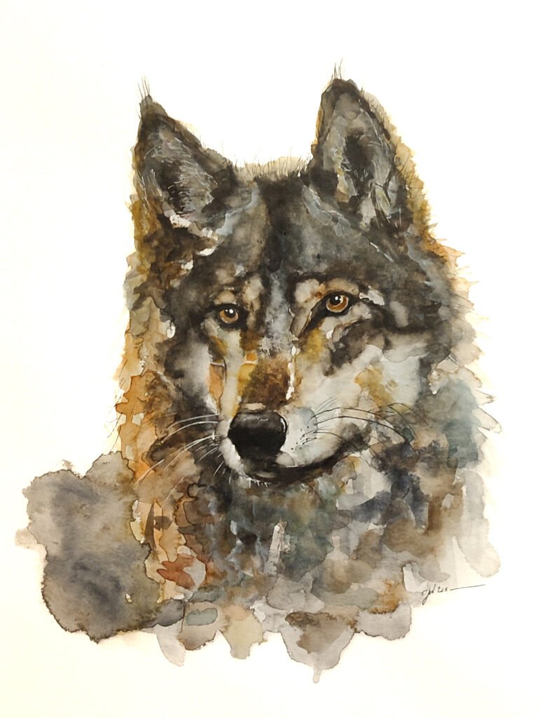 "Le méchant loup" Aquarelle sur papier Hanemhule en 30 x 40 cm