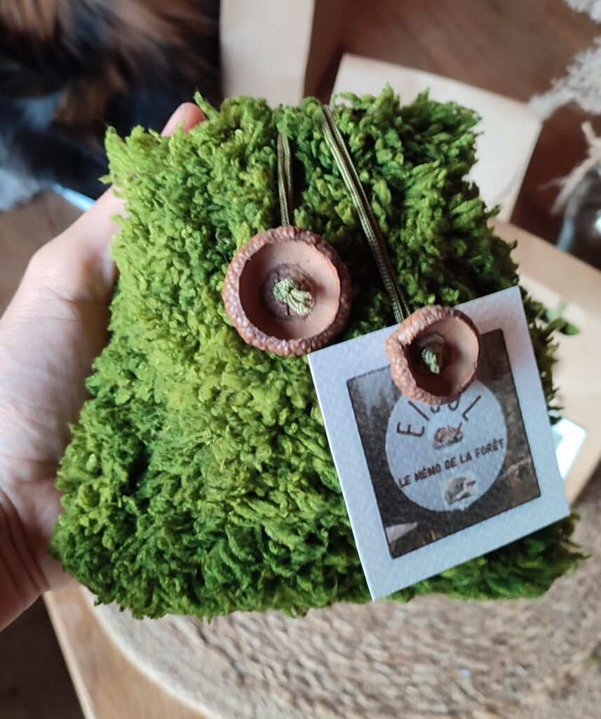 «LE MÉMO DE LA FORÊT "
