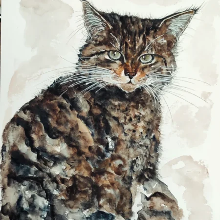 LE CHAT FORESTIER  ORIGINAL