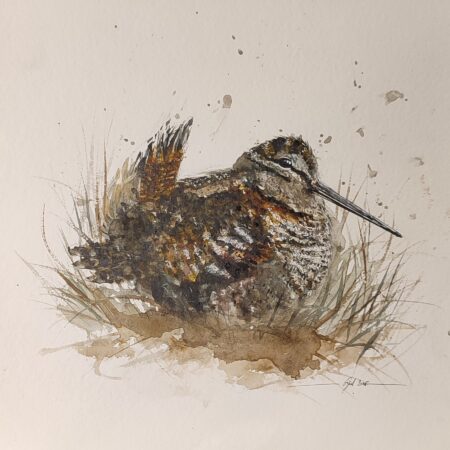 La bécasse des bois  (ORIGINAL VENDU )reproduction