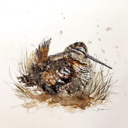 LA BÉCASSE DES BOIS ORIGINALE (VENDUE)