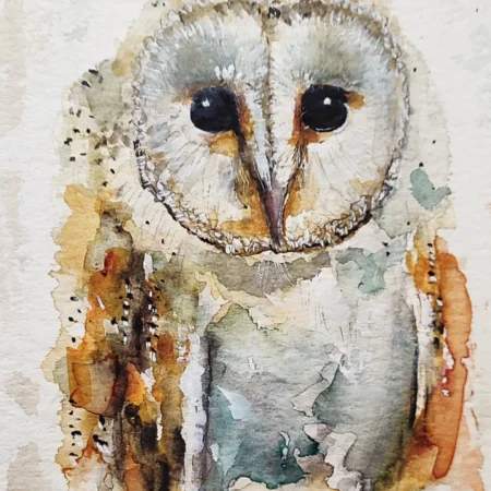 LA CHOUETTE EFFRAIE DES CLOCHERS ORIGINALE