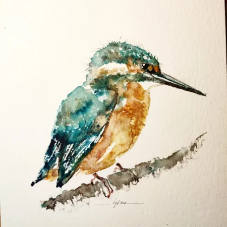 MARTIN PÊCHEUR ORIGINAL