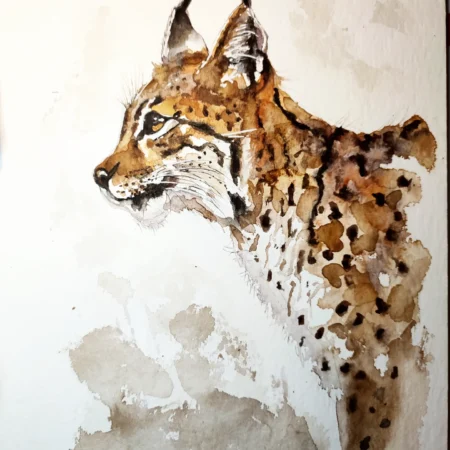 AQUARELLE ORIGINALE DU LYNX