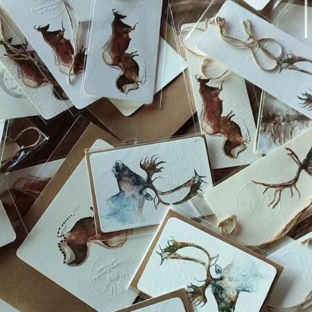 COLLECTION PRÉHISTOIRE (MARQUES PAGES)