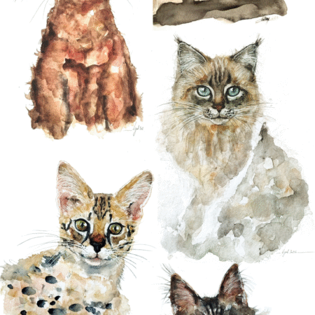 PORTRAITS A LA DEMANDE 🤍