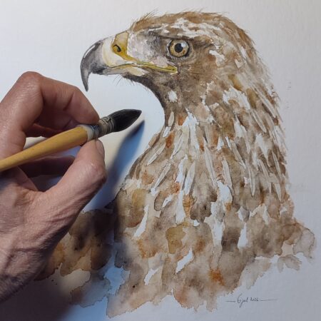 AQUARELLE ORIGINALE AIGLE ROYAL