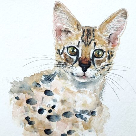 AQUARELLE ORIGINALE CHAT SAVANNAH