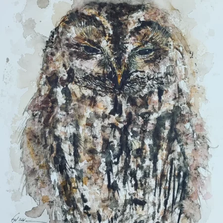 AQUARELLE ORIGINALE CHOUETTE HULOTTE