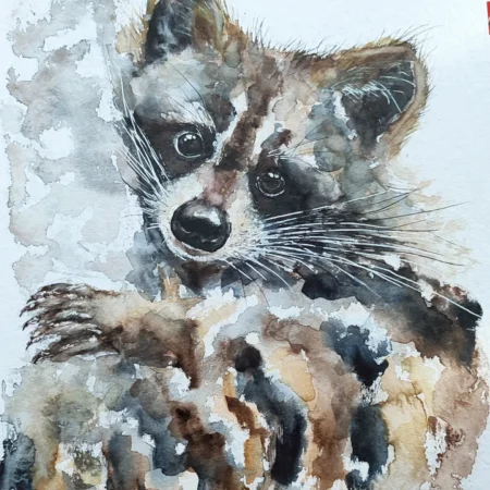 AQUARELLE ORIGINALE RATON LAVEUR III