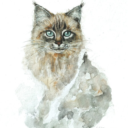 AQUARELLE ORIGINALE CHAT DE BIRMANIE