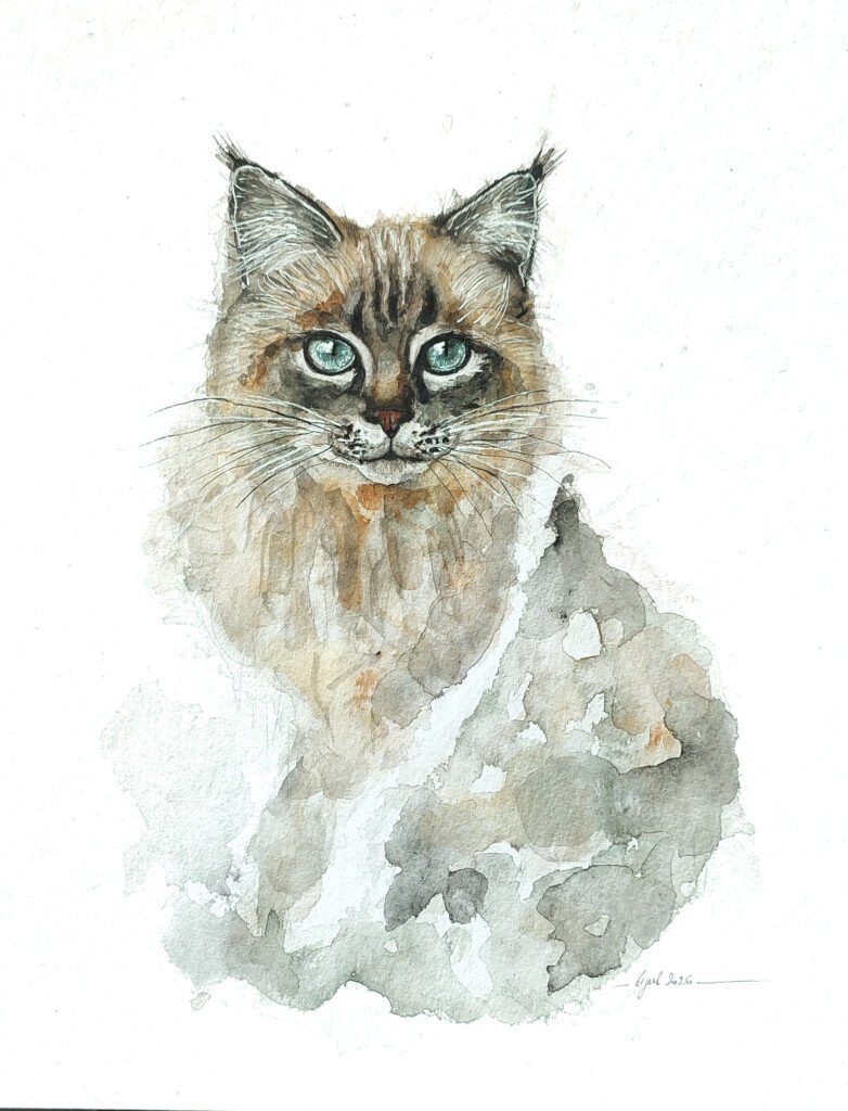 AQUARELLE ORIGINALE CHAT DE BIRMANIE