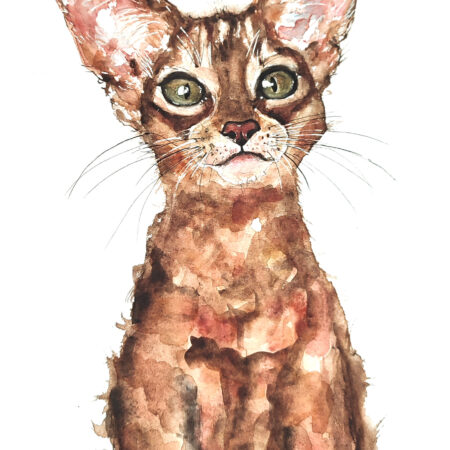 AQUARELLE ORIGINALE CHAT ABYSSIN