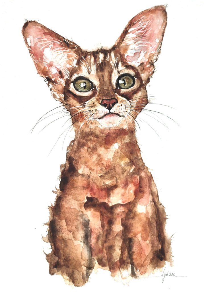 AQUARELLE ORIGINALE CHAT ABYSSIN