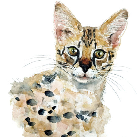 AQUARELLE ORIGINALE CHAT SAVANNAH