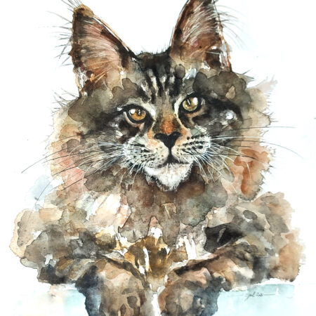 AQUARELLE ORIGINALE MAIN COON
