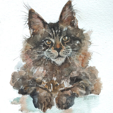 AQUARELLE ORIGINALE MAIN COON