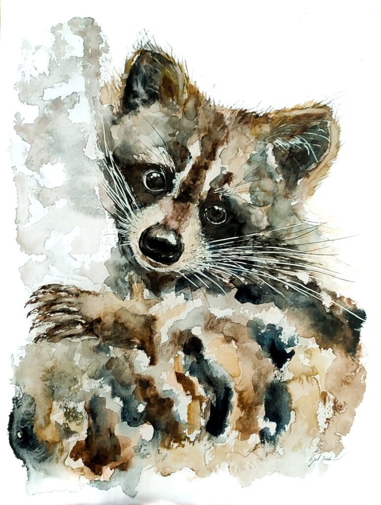 AQUARELLE ORIGINALE RATON LAVEUR III