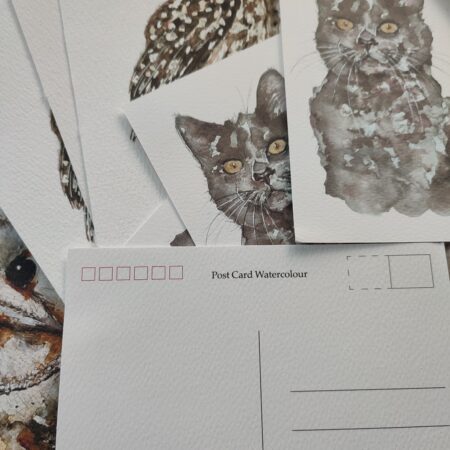 NOUVELLE COLLECTION CARTES POSTALES SUR PAPIER AQUARELLE