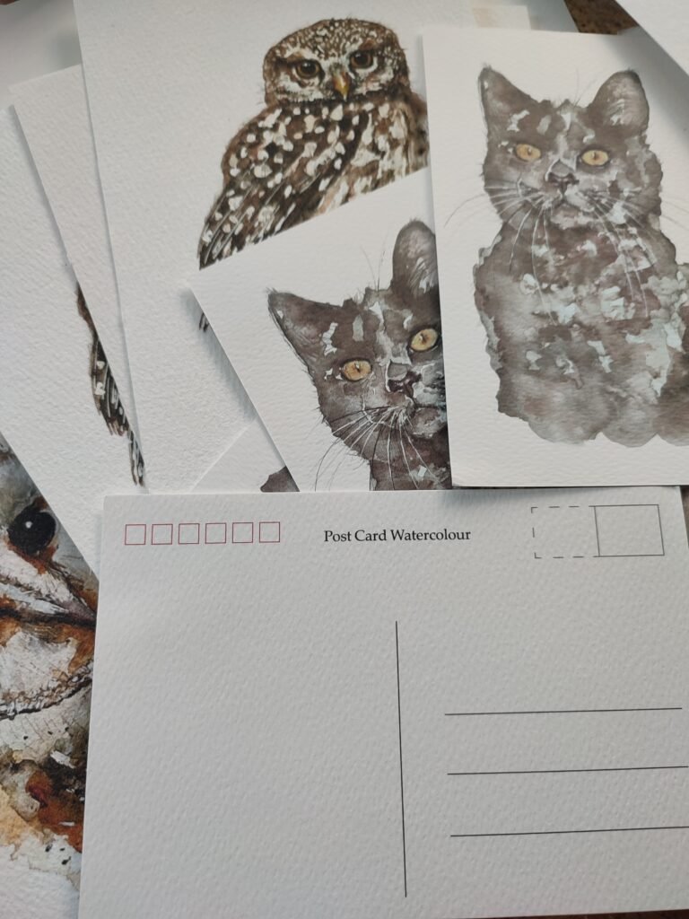 NOUVELLE COLLECTION CARTES POSTALES SUR PAPIER AQUARELLE