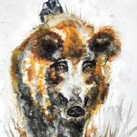 AQUARELLE ORIGINALE SANGLIER