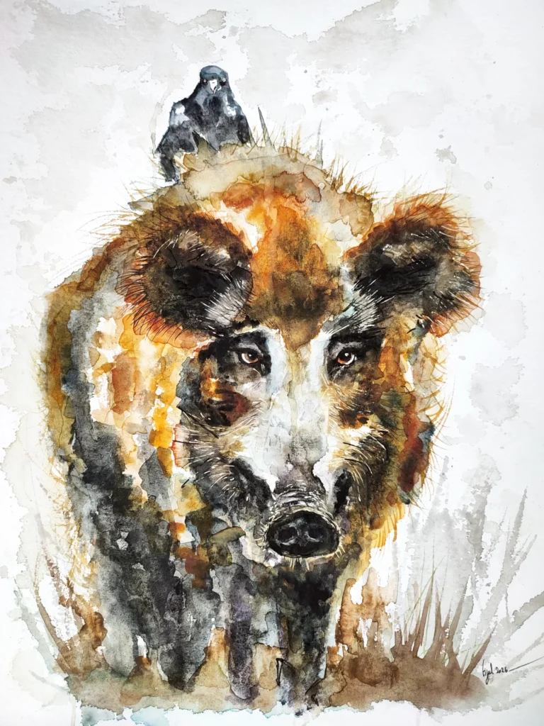 AQUARELLE ORIGINALE SANGLIER